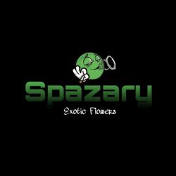 Spazary Ceo Clubhouse