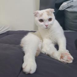 영망이 0mang Clubhouse