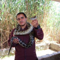 Mostafa Elhashash Clubhouse