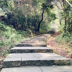 Clubhouse profile picture for @uniquelogo