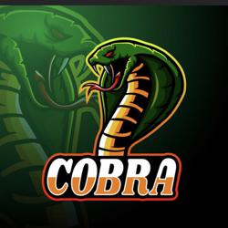 COBRA Weo Clubhouse