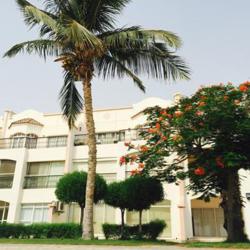 أم محمد Clubhouse