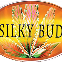 Silky Bud Clubhouse