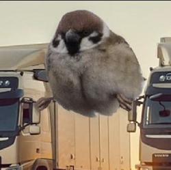 Konstantin Titov Clubhouse