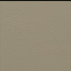 Ida Kianfar Clubhouse