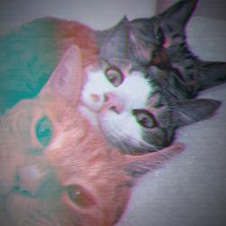 jazeera fathim Clubhouse