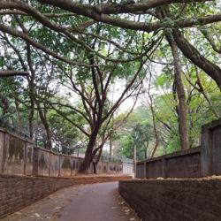 Naveen Naduvathadath Clubhouse