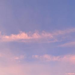 Nicole Virzi Clubhouse