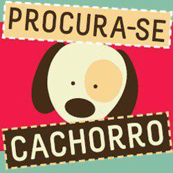 Procura-se Cachorro Clubhouse