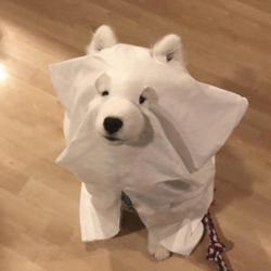 Ouii Pasirin Clubhouse