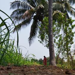 Sangavi  BV Clubhouse