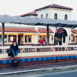 Diane Chen Clubhouse