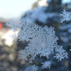 Tilda Victorin Clubhouse