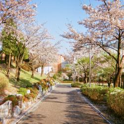 Jinsol Park Clubhouse