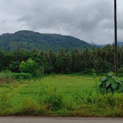 Shankar Stalin Clubhouse