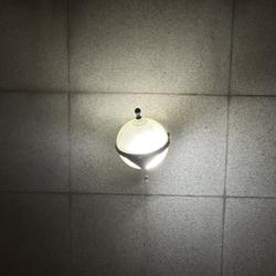 Haobo Wang Clubhouse