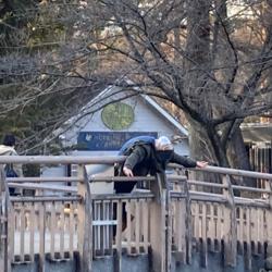 Irvan Salim Clubhouse Profile Followers Statistics Ohmyirvan