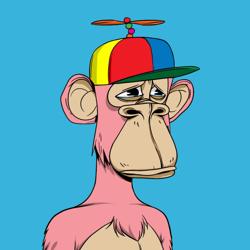 Clubhouse profile picture for @directive