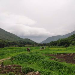 xunyang Gao Clubhouse