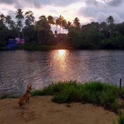 Ananth Babu Clubhouse