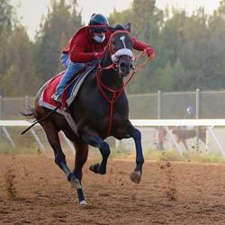 Nasser Alshmaari Clubhouse