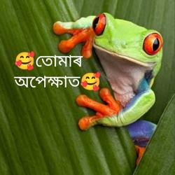 পদ্মনাথ বৰগোহাঁই Clubhouse