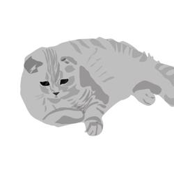 Clubhouse profile picture for @jackfu