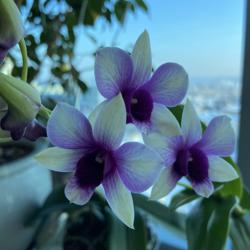 Kate Loginova Clubhouse