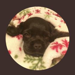 Clubhouse profile picture for @saki