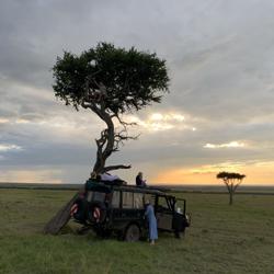 Alex Evans Clubhouse