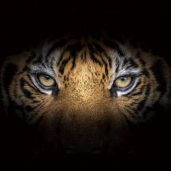 Kwanho Lee Clubhouse