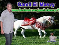 Gamil Elmasry Clubhouse