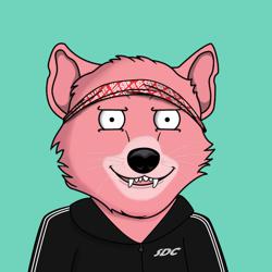 Clubhouse profile picture for @shuttles