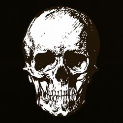 Roman Kaurichev Clubhouse