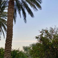 عبدالعزيز آل جناح .... Clubhouse