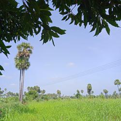 Gokula Priya Clubhouse