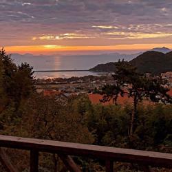 Cecilia Kim Clubhouse