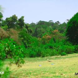 Muna Abdi Clubhouse