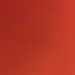 Clubhouse profile picture for @transfer