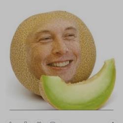 Melon Musk Clubhouse