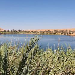 Abdulqader Abughrara Clubhouse