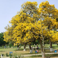 Chandra  Prakash Clubhouse