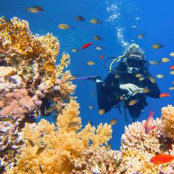 Diving Hurghada Clubhouse