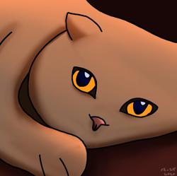 Clubhouse profile picture for @peroxide