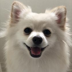 Jasper Rong Clubhouse