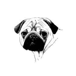 Clubhouse profile picture for @grownups