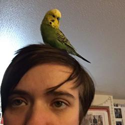 Becton Simpson Clubhouse