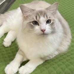 Mengxuan Jia Clubhouse