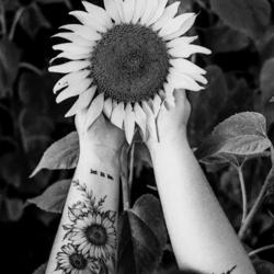 Arya Sivaraman Clubhouse