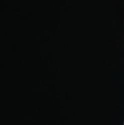 Latisha Leo Clubhouse